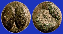w-a-2272.jpg