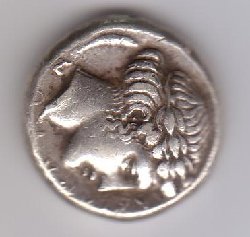 S1.JPG