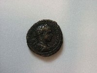 Copia di P1010038.JPG