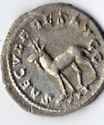 Philippus 2.jpg