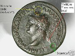 nero-sest-a.jpg