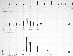 Statistik--Numismatikforum.jpg