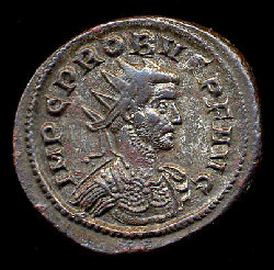 probus schwarzer hintergr.jpg