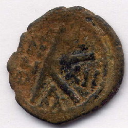 halbfollis.jpg