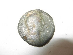 K1024_4 Std. 017.JPG