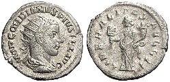 gordian1.JPG