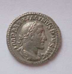 t_maximinus3_159.jpg