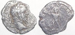 273-sp.jpg