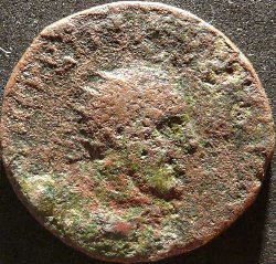 5b.JPG
