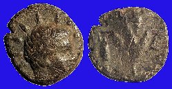 w1718.jpg
