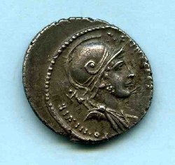 img23270.jpg