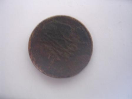 Bild 0331.jpg