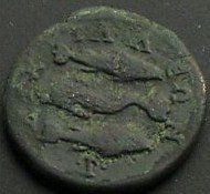 4497_1 - Kopie.jpg