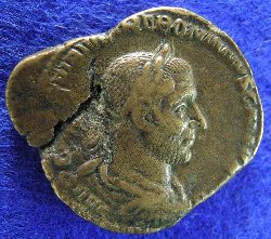 treb-gallus-a.jpg