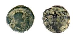 ebusus tiberius.jpg