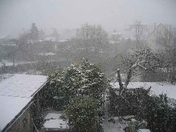 schnee.jpg