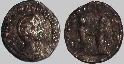 salonina.JPG