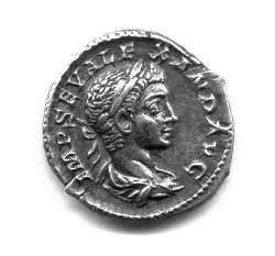Denar Alexander Severus C. 560 (Avers) IMP SEV ALEXAND AVG..jpg