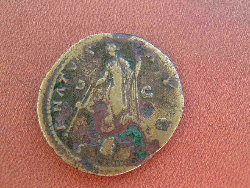 salus.jpg