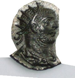 Portrait1.jpg