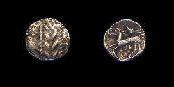 Totfalu.jpg