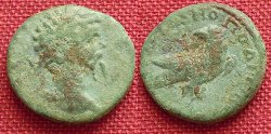 Provinz_Septimius_Severus_Kleinbronze.jpg
