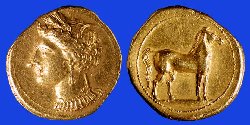 w1641.jpg