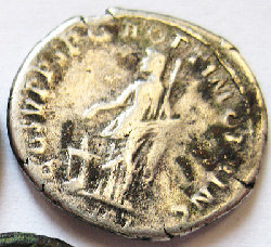5b.jpg