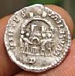 maximianus argenteus2.jpg