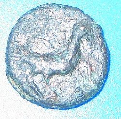 PICT1445neu.jpg