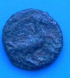 PICT1465.jpg