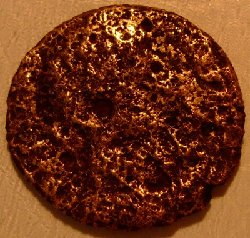 DSCF5537.JPG