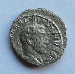 Maximinus_hybrid_Av.jpg