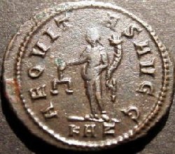 carinus2.jpg