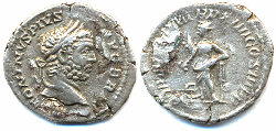 caracalla gefüttert.jpg