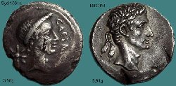 caearaugustus.jpg