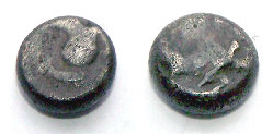 coin_new.jpg