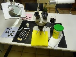 Reinigungsmittel 003.jpg