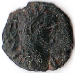 Carausius3.jpg