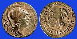 w1856.jpg