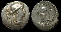 T_Carisius.JPG