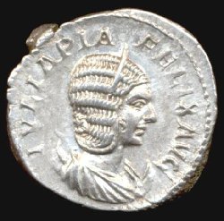 julia_domna_388(a)_#1.jpg