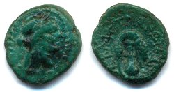 caystriani_unknown.jpg
