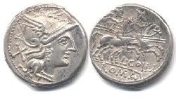 coilia.jpg