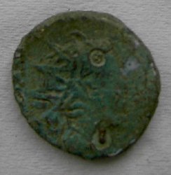 PICT1520neu.jpg