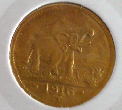 CIMG1917.JPG