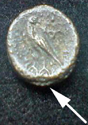 münze1-016.jpg