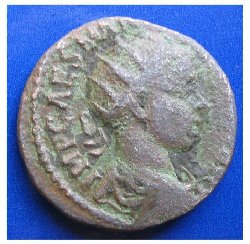 caesara.JPG