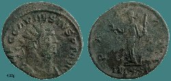 carausius.jpg