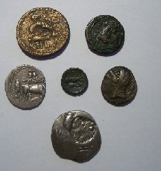 muenzlot1-1.jpg
